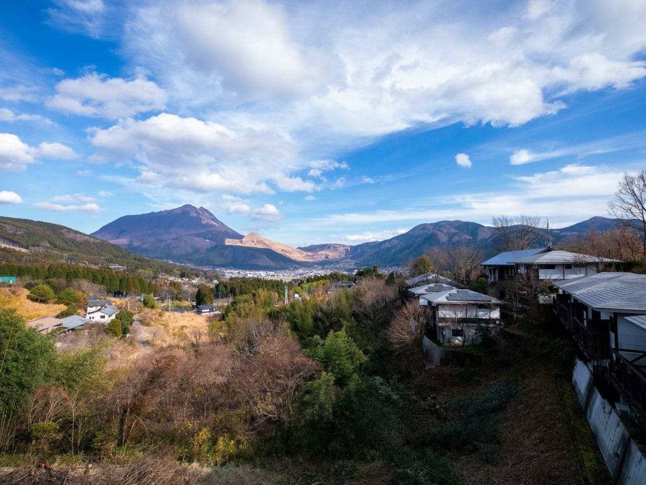 Yufuin Tsubaki