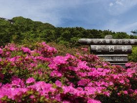 雲仙小地獄温泉　白濁源泉掛け流し美肌露天風呂　国民宿舎青雲荘