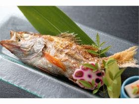 日本三美人の湯 湯元 湯の川