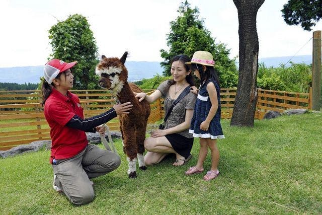 คุณสามารถสัมผัสกับสัตว์หลากหลายชนิดได้