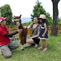 คุณสามารถสัมผัสกับสัตว์หลากหลายชนิดได้