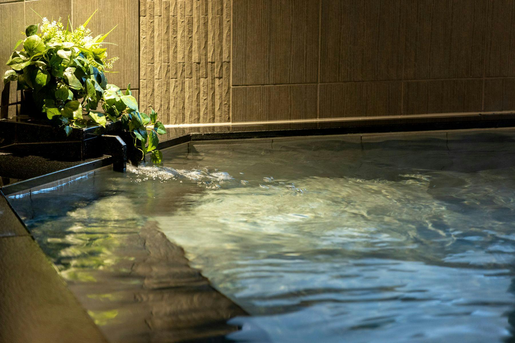 Natural Hot Spring "Tabibito no Yu" Hotel Route-Inn Matsue