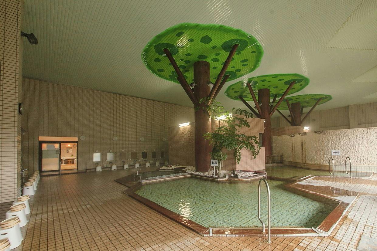 Hotel Green Hill