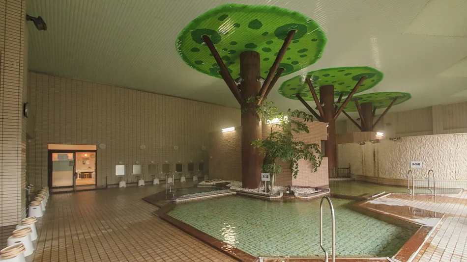Hotel Green Hill