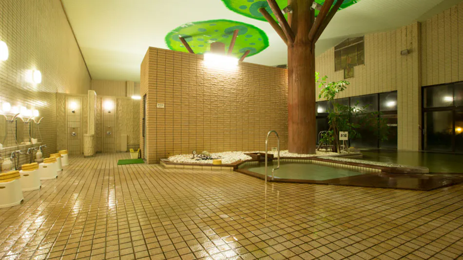 Hotel Green Hill