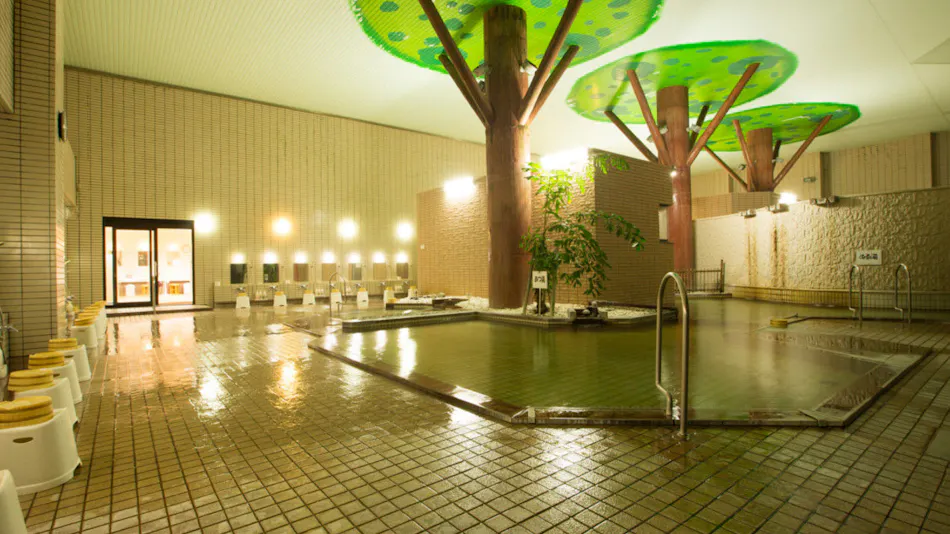 Hotel Green Hill