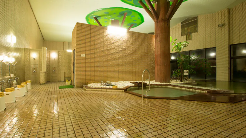 Hotel Green Hill