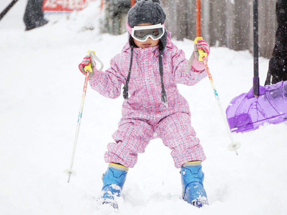 *ภาพแผนฤดูหนาว/สกีสำหรับครอบครัว