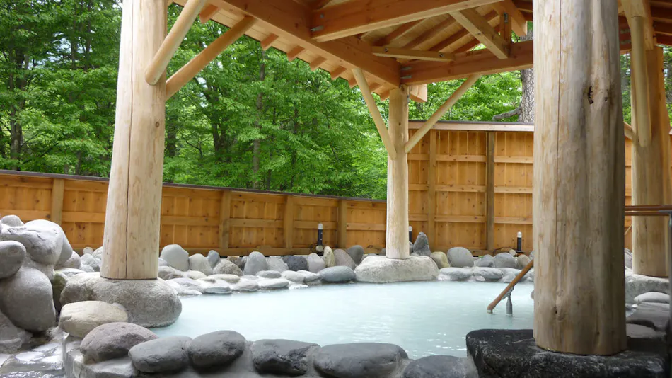 Okunikko Yumoto Onsen Okunikko Kogen Hotel