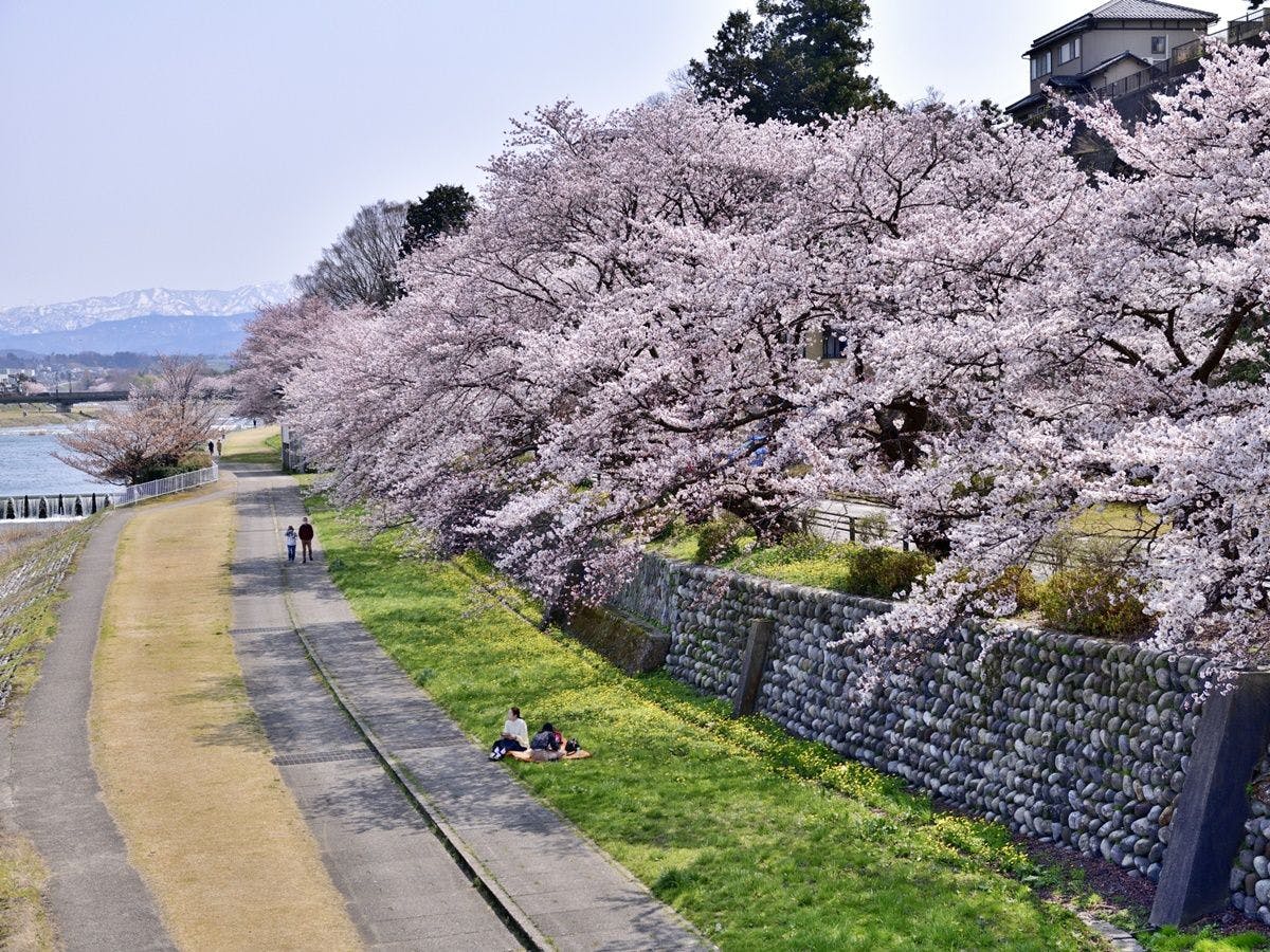 *【犀川河岸】