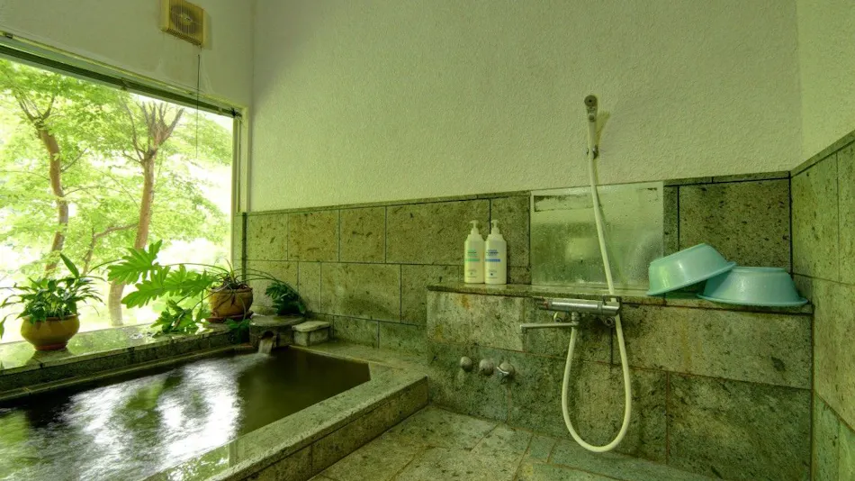 Natural Hot Spring Pension Blue Marble