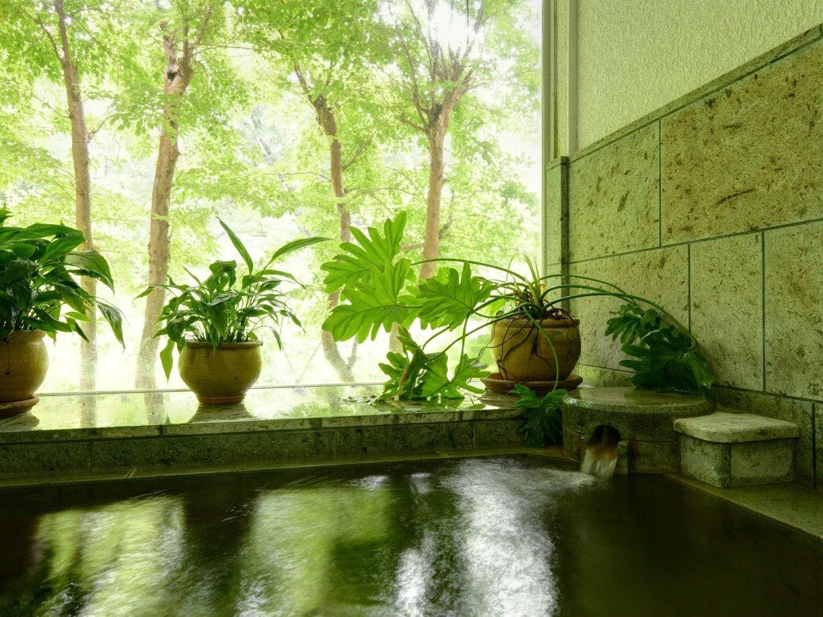 Natural Hot Spring Pension Blue Marble