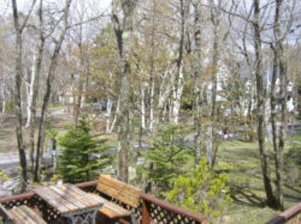 白樺湖オーベルジュビストロフィガロ の宿泊プラン 予約 Yahoo トラベル