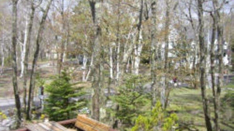 白樺湖オーベルジュビストロフィガロ の宿泊プラン 予約 Yahoo トラベル 白樺湖オーベルジュビストロフィガロ の宿泊プラン 予約 Yahoo トラベル