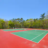 Lapangan tenis dikelilingi oleh alam (tersedia peminjaman gratis)