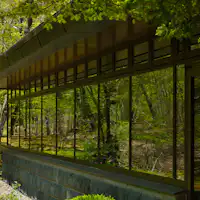 Hutan alami yang dapat dilihat dari jendela restoran