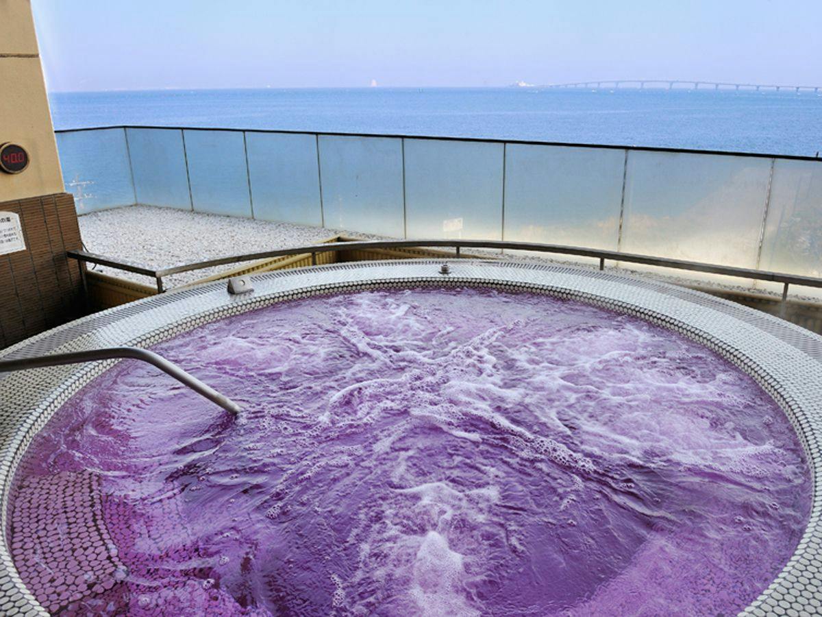 Ryugujo Spa & Hotel Mikazuki Ryugu-tei