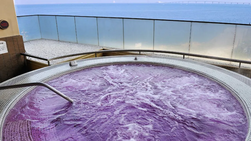 Ryugujo Spa & Hotel Mikazuki Ryugu-tei