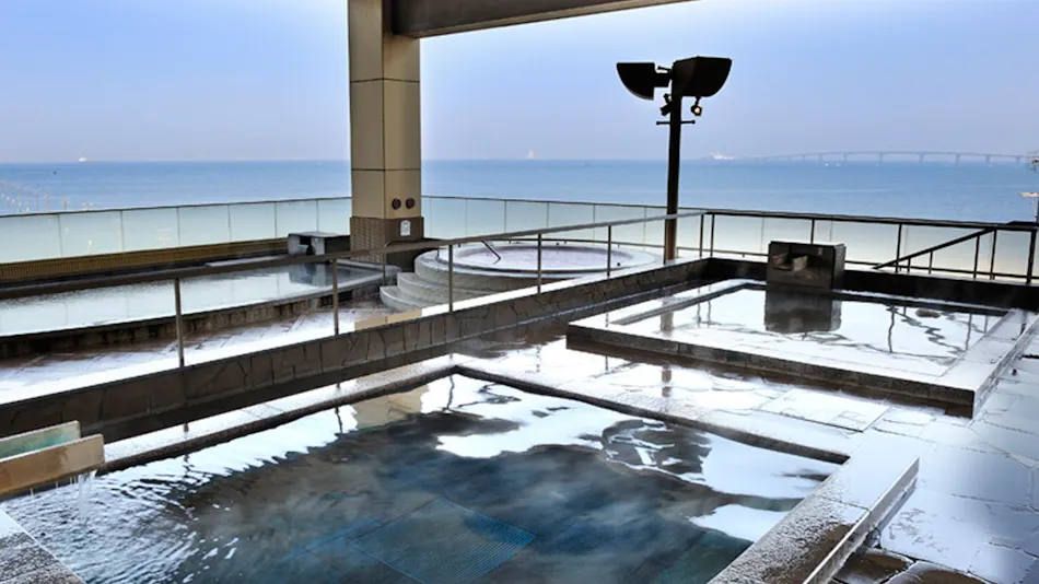 Ryugujo Spa & Hotel Mikazuki Ryugu-tei