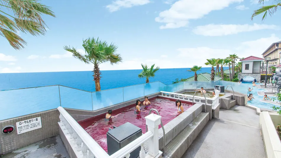 Ryugujo Spa & Hotel Mikazuki Ryugu-tei