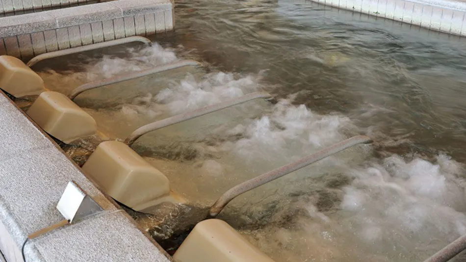 Ryugujo Spa & Hotel Mikazuki Ryugu-tei