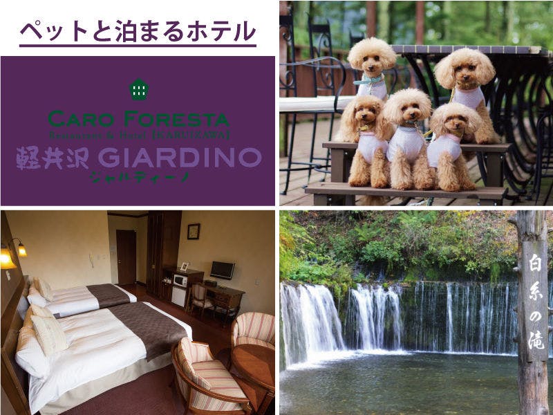 ペットと泊まる宿　CARO FORESTA 軽井沢GIARDINO&nbsp;施設全景