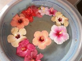 ハイビスリゾート