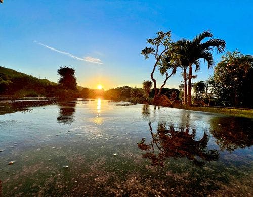 眼の前の南国庭園から見る夕日です。