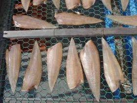 海辺の宿　潮風荘