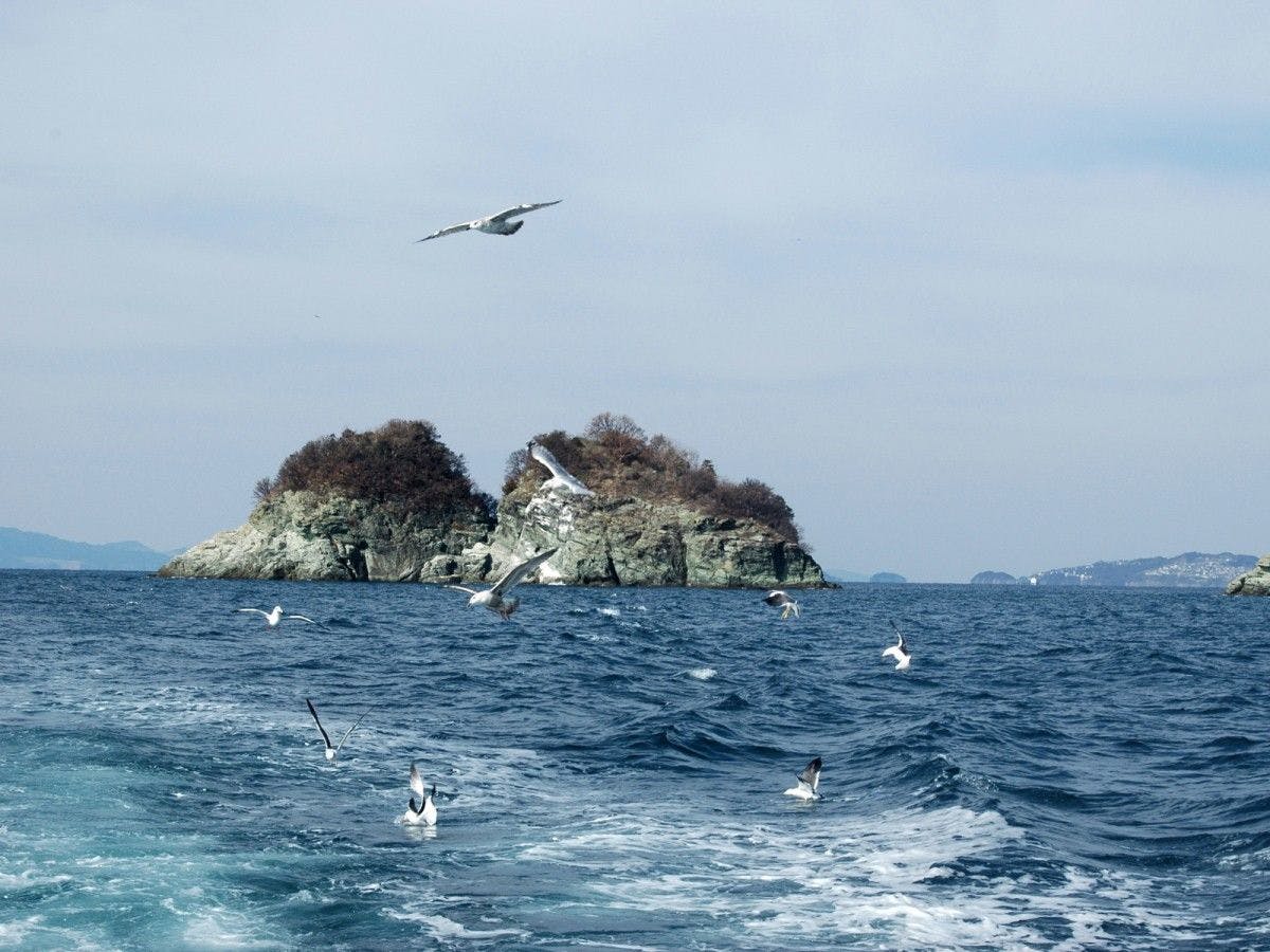 ◆【Tempat Menarik Berdekatan】