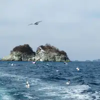 ◆【Tempat Menarik Berdekatan】