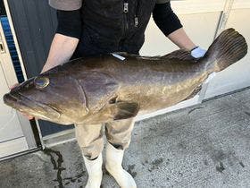 海辺の宿　潮風荘