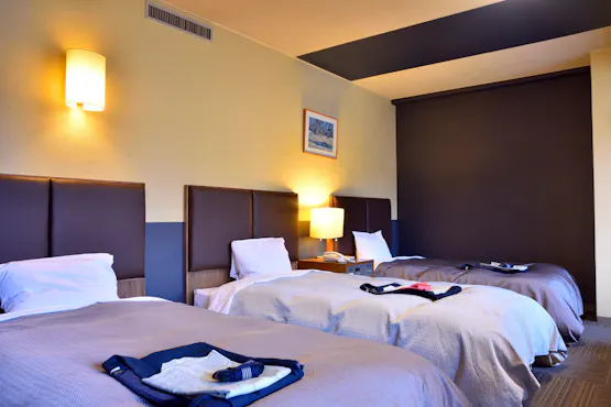 Diperbarui pada tahun 2022★Standar Triple