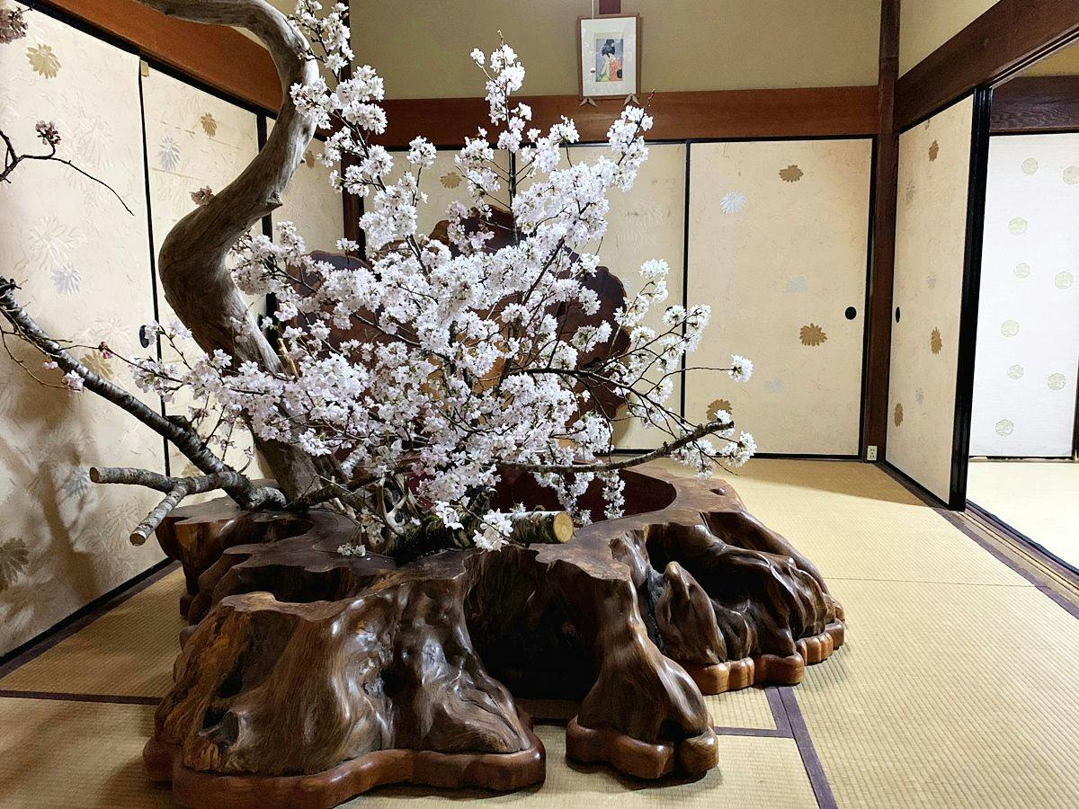Guest Villa Aisakura