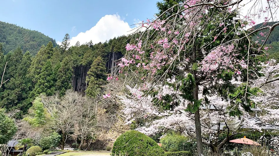 Guest Villa Aisakura