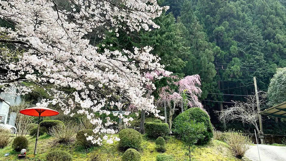 Guest Villa Aisakura