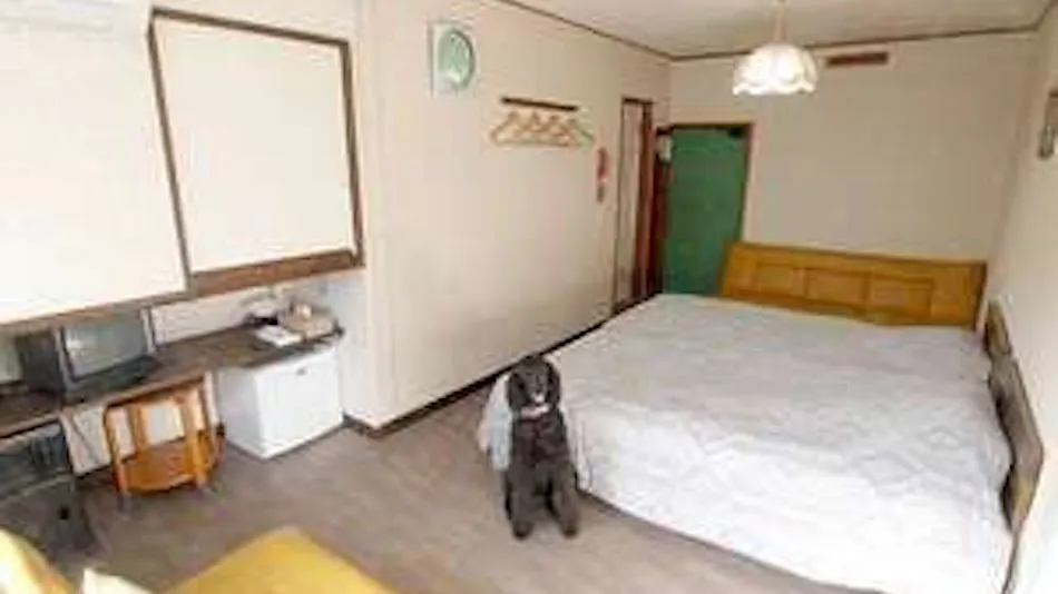 Pension Asama Mansard