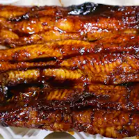 【ในประเทศ】อุนะจู