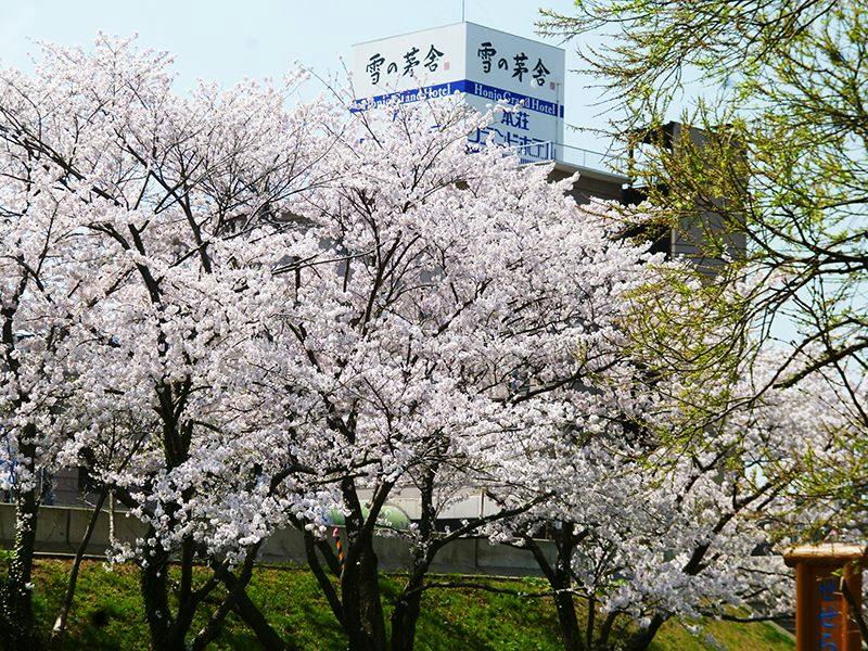 Honjo Grand Hotel