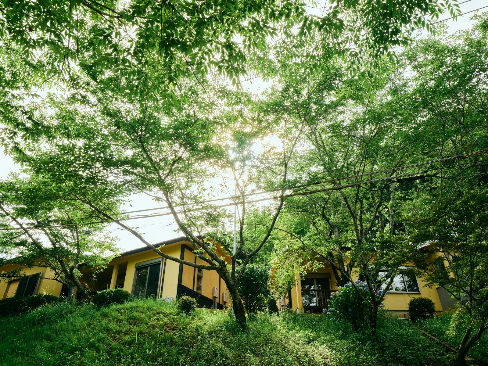 [บ้านพัก/Sakura] ภายนอก