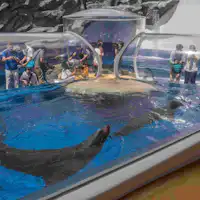 พิพิธภัณฑ์สัตว์น้ำโทบะ