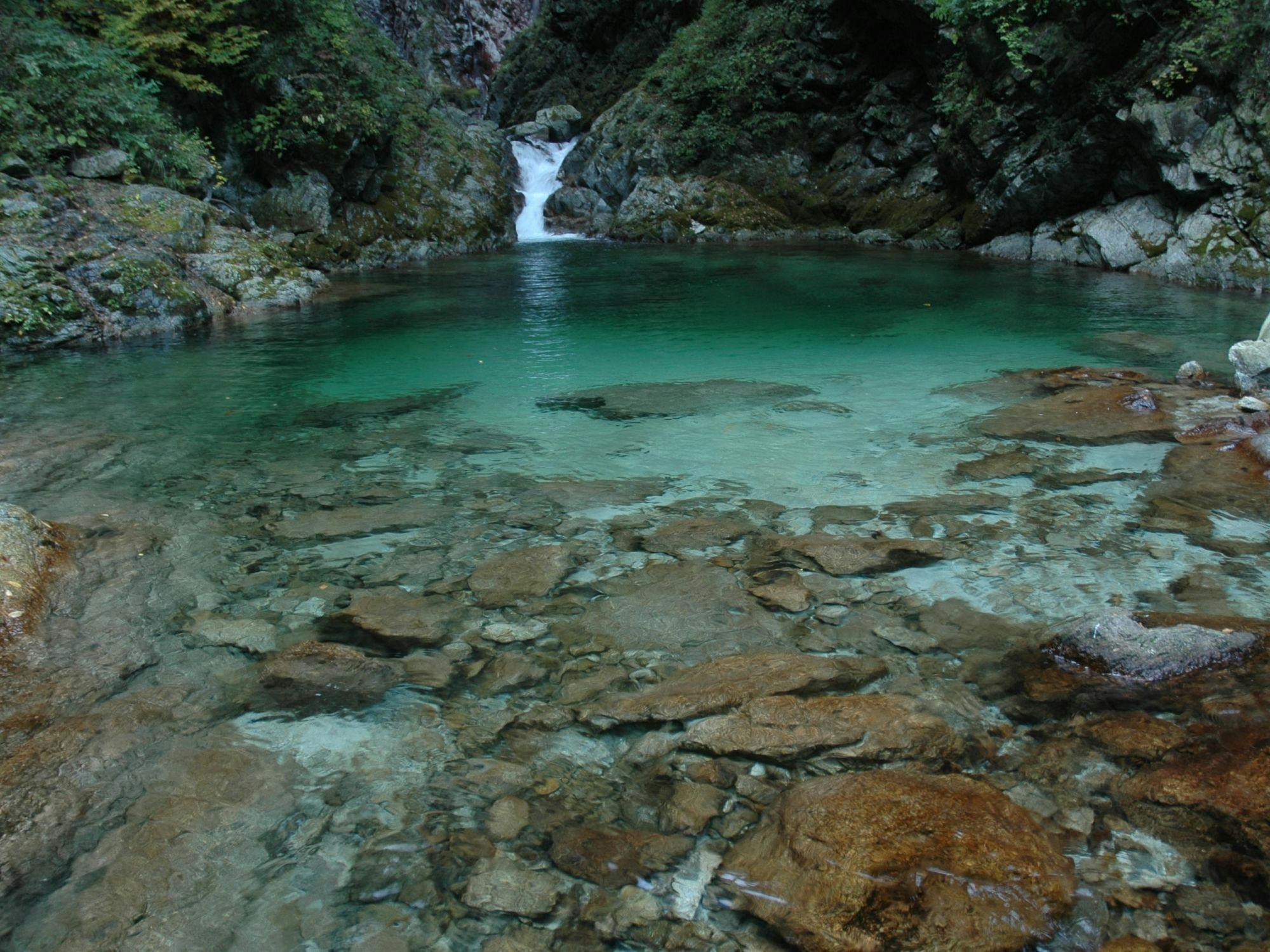 【尾白川渓谷】Kira-kira 40 minit memandu dari Hotel