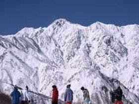 ホテルオークフォレスト