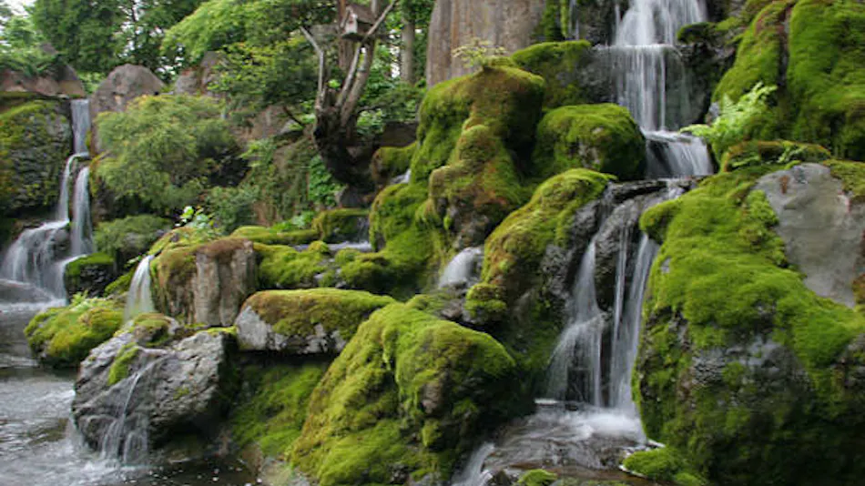 Wafuu Ryokan Senshoen