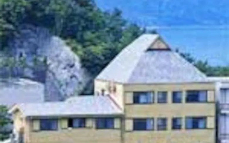 旅館 公園 水野 鳴門駅から車で10分の旅館 6100円より 展望浴場 鳴門海峡の渦潮と大鳴門橋の展望が抜群 鳴門鯛を中心とした鯛尽くし会席料理 徳島県 デゴイチよく走る Sl沿線宿泊情報 旅館 公園 水野 鳴門駅から車で10分の旅館 6100円より 展望浴場 鳴門海峡の渦潮と大鳴門橋の展望が抜群 鳴門鯛を中心とした鯛尽くし会席料理 徳島県 デゴイチよく走る Sl沿線宿泊情報