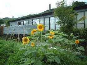 農家民宿 Homey inn えんや