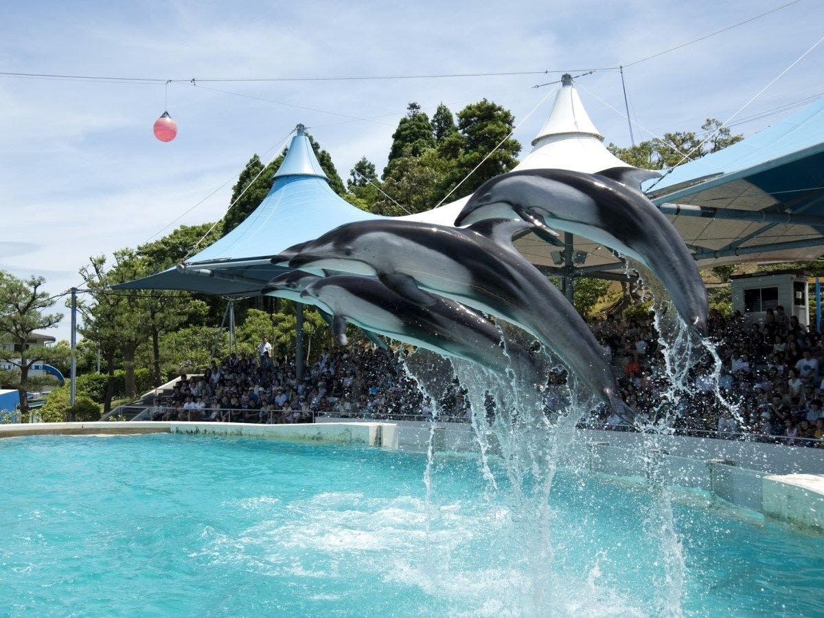 노토지마 수족관