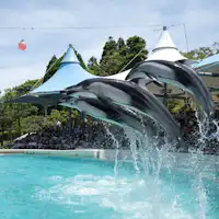 노토지마 수족관