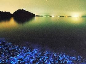 能登　島宿せがわ