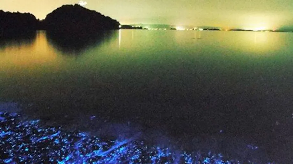 Noto Island Inn Segawa